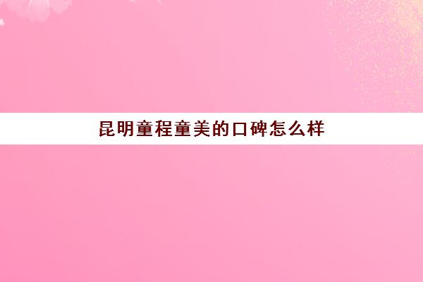 昆明童程童美的口碑怎么样