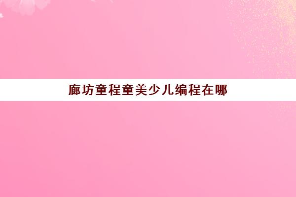 廊坊童程童美少儿编程在哪