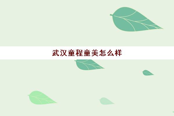 武汉童程童美怎么样 口碑好不好