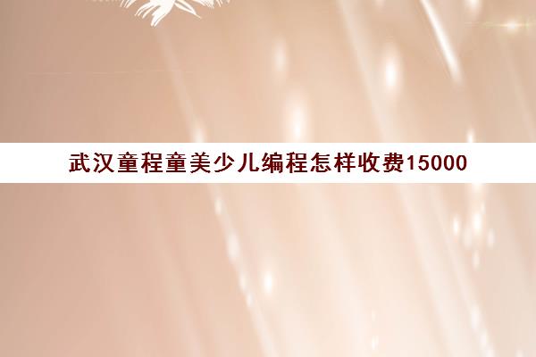武汉童程童美少儿编程怎样收费15000