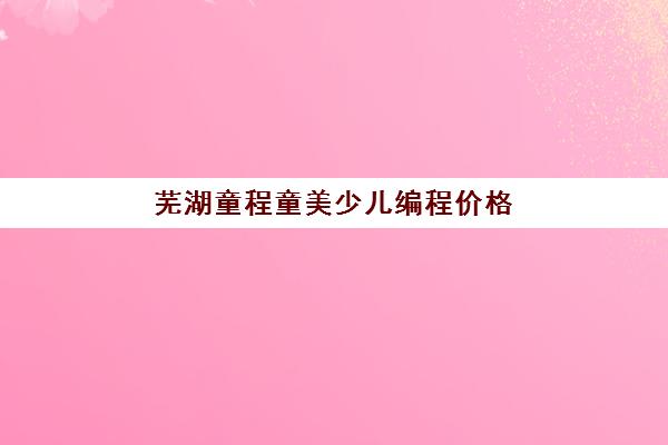 芜湖童程童美少儿编程价格 各班型收费标准一览