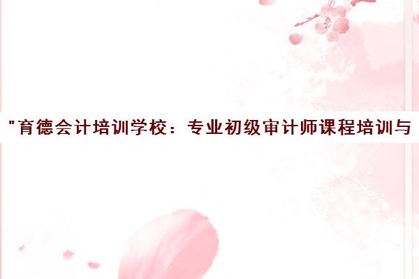育德会计培训学校：专业初级审计师课程培训与高效学习方案