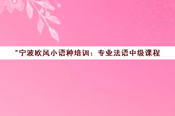 宁波欧风小语种培训：专业法语中级课程，全面备考与语言技能提升