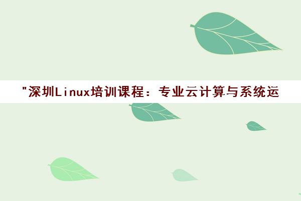 深圳Linux培训课程：专业云计算与系统运维技能提升
