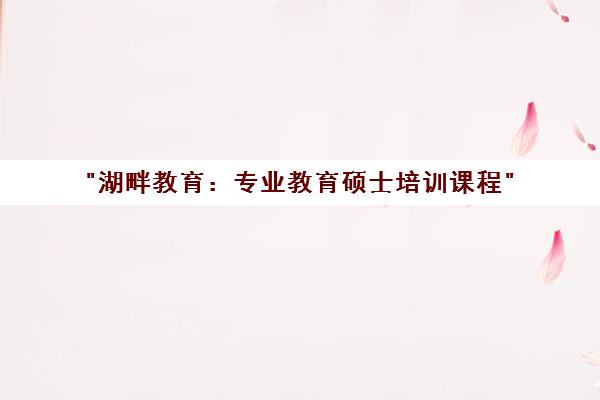 湖畔教育：专业教育硕士培训课程