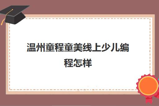 温州童程童美线上少儿编程怎样