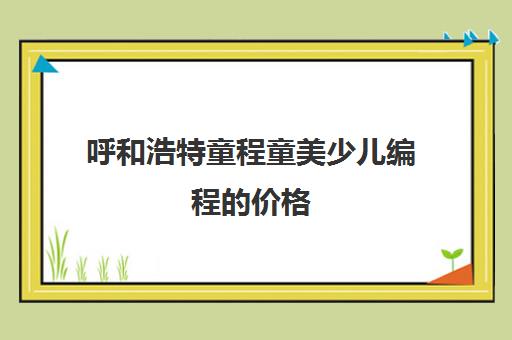 呼和浩特童程童美少儿编程的价格