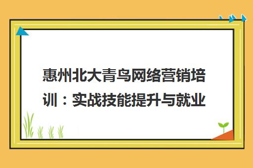 惠州北大青鸟网络营销培训：实战技能提升与就业指导