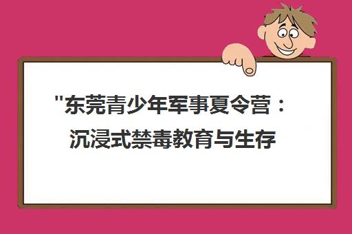 东莞青少年军事夏令营：沉浸式禁毒教育与生存技能培养