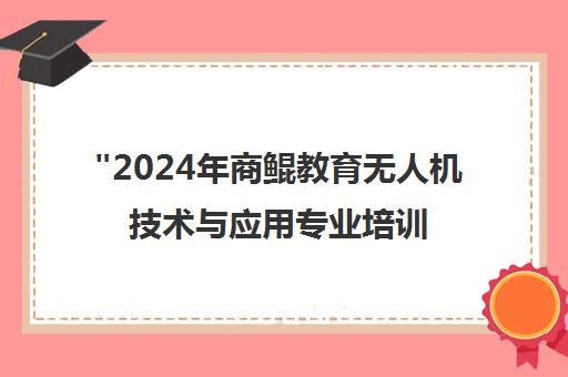 2024年商鲲教育无人机技术与应用专业培训课程详解