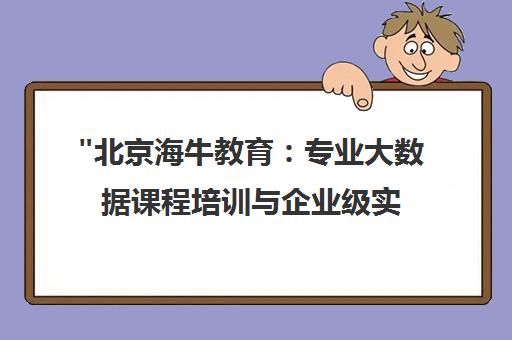 北京海牛教育：专业大数据课程培训与企业级实战项目