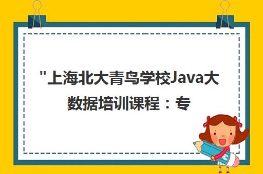 上海北大青鸟学校Java大数据培训课程：专业讲师团队与实战项目经验
