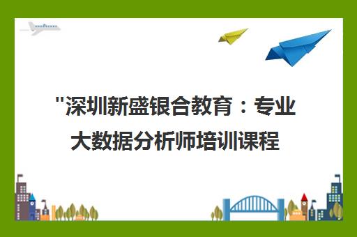深圳新盛银合教育：专业大数据分析师培训课程