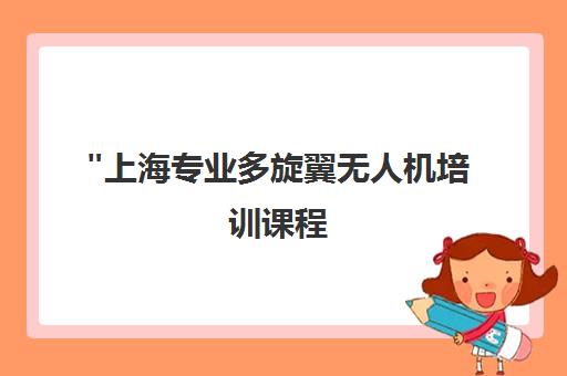上海专业多旋翼无人机培训课程 - 执照培训与行业应用