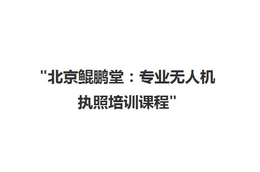 北京鲲鹏堂：专业无人机执照培训课程