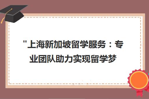 上海新加坡留学服务：专业团队助力实现留学梦想