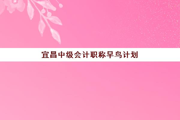 宜昌中级会计职称早鸟计划班培训机构哪家好？2025年权威排名、各校特色解析与科学择校全攻略