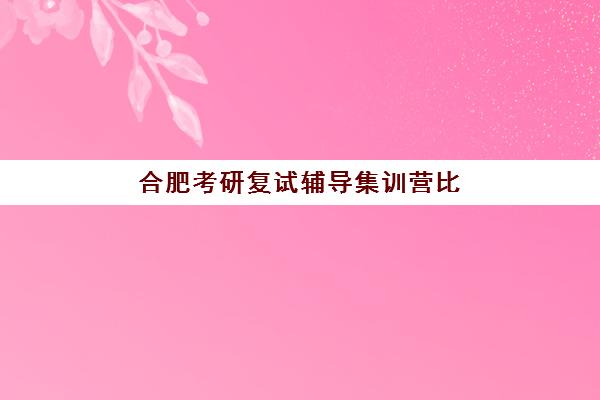 合肥考研复试辅导集训营比较厉害的培训机构如何选择？2025年最新排名、择校标准与成功案例全解析