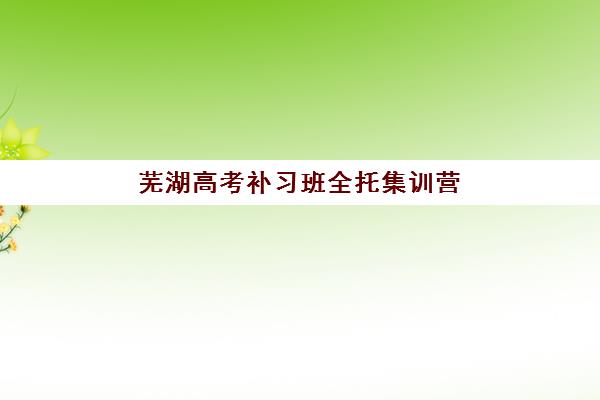 芜湖高考补习班全托集训营排名榜单最新如何查询？2025年权威排名、择校技巧与成功案例全解析