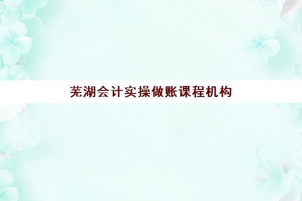 芜湖会计实操做账课程机构哪个比较好一点？2023年最新排名、择校指南与就业全攻略