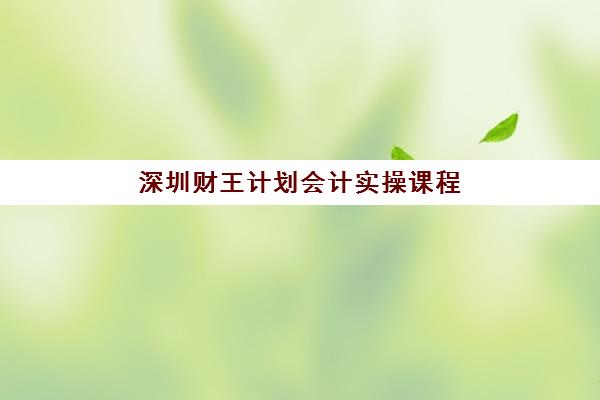深圳财王计划会计实操课程报名费多少钱2025？2025年最新费用明细、报名流程与性价比全攻略