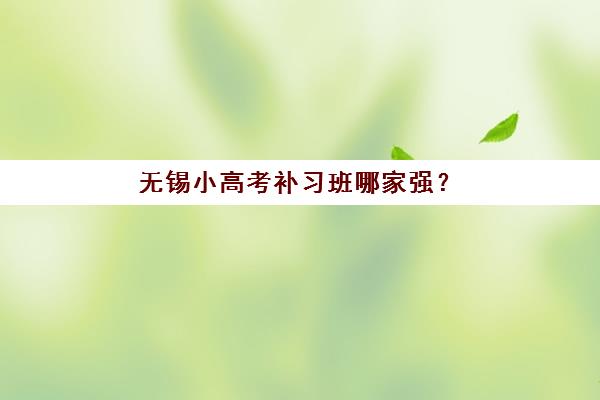无锡小高考补习班哪家强？2025年十大机构服务竞争力深度解析与择校指南