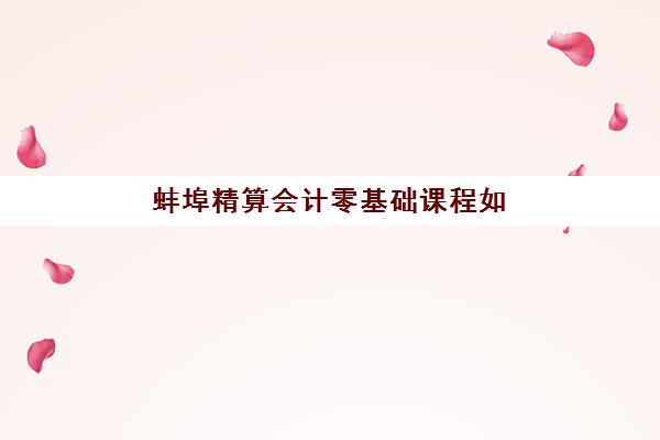 蚌埠精算会计零基础课程如何报？2025年报名时间表与机构选择指南