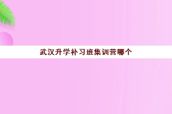 武汉升学补习班集训营哪个比较好网？2025年最新排名、各校特色与择校全攻略