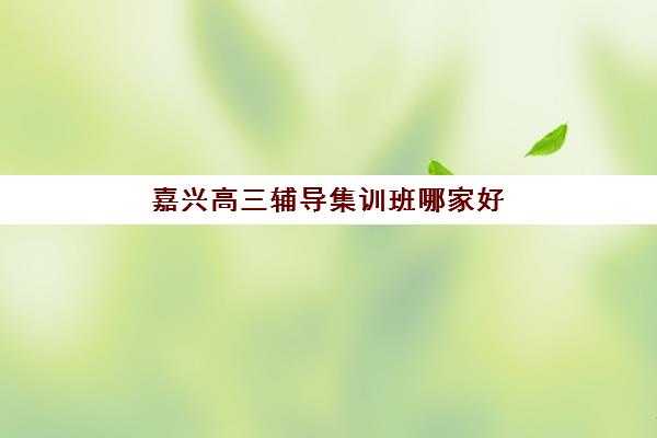 嘉兴高三辅导集训班哪家好？2025年五大机构实力解析与择校指南