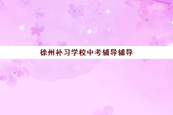 徐州补习学校中考辅导辅导班有哪些机构可以报？2025年最新权威推荐排名与报名全攻略