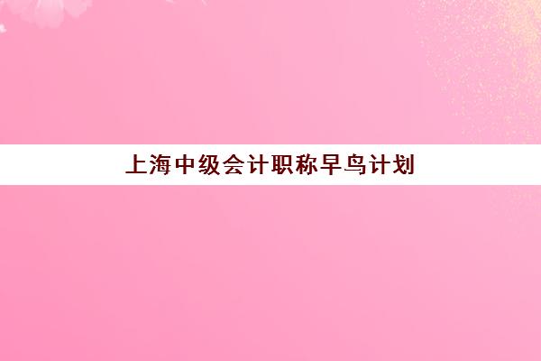 上海中级会计职称早鸟计划培训班哪个比较好？2023年最新排名数据、各机构特色对比与科学选择指南