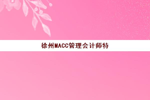 徐州MACC管理会计师特色课程培训机构哪个比较好？2023年权威推荐榜单、科学择校标准与成功案例全解析指南