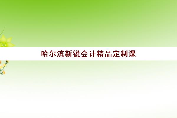 哈尔滨新锐会计精品定制课程辅导机构哪家比较好？2025年五大机构课程特色与选择指南