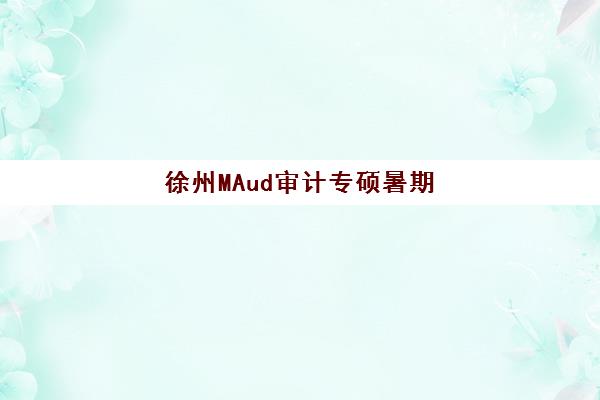 徐州MAud审计专硕暑期集训课程集中训练营在哪报名？2025年最新报名渠道、材料准备与操作步骤全指南