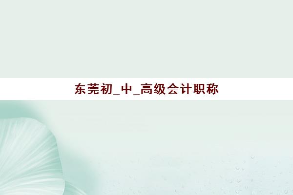 东莞初_中_高级会计职称封闭式集训营地址在哪？2025年最新校区分布与课程选择全攻略