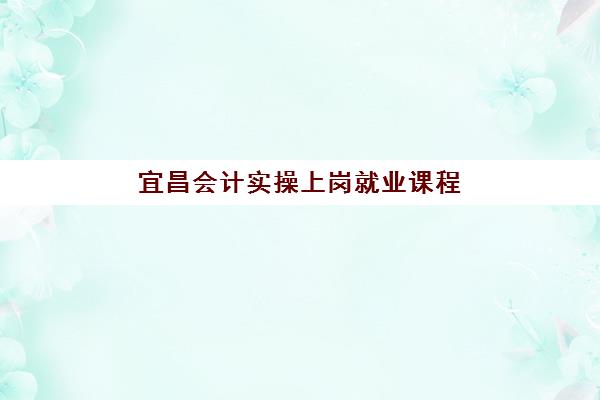 宜昌会计实操上岗就业课程2025年报名人数多少如何查询？最新数据解读、热门机构分析与择校指南全攻略