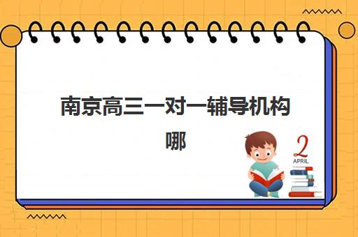 南京高三一对一辅导机构哪家强？2025年五大机构特色解析与择校指南