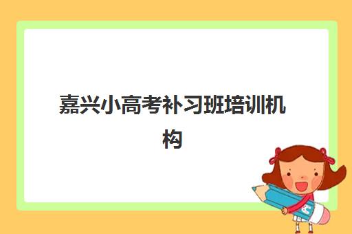 嘉兴小高考补习班培训机构哪家好一点？2023年最新排名详情与择校指南全解析