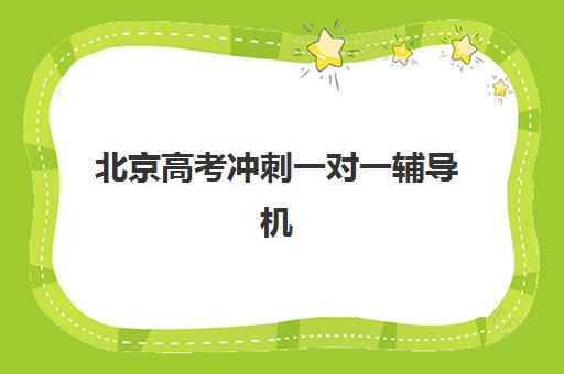 北京高考冲刺一对一辅导机构哪家强？2025年十大机构实力排名与择校指南