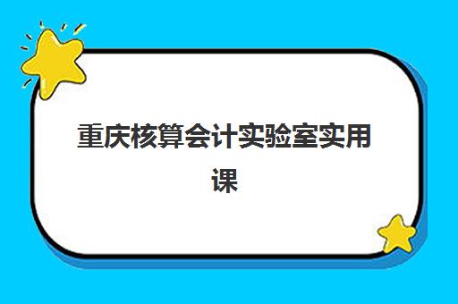 重庆核算会计实验室实用课程班选择指南：机构对比与性价比分析
