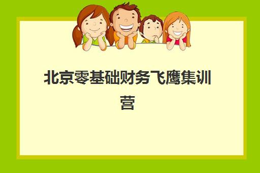 北京零基础财务飞鹰集训营集训营排名前十有哪些？2025年最新权威榜单与科学择校全攻略