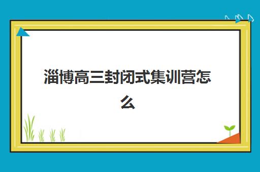 淄博高三封闭式集训营怎么选？2025年机构对比与择校全攻略