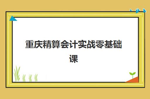 重庆精算会计实战零基础课程2025年要求多少分？最新录取标准、备考策略与成功入学指南