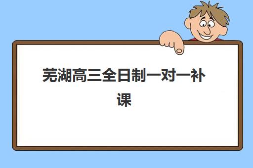芜湖高三全日制一对一补课辅导培训机构如何选？2025年最新实力排名与择校指南
