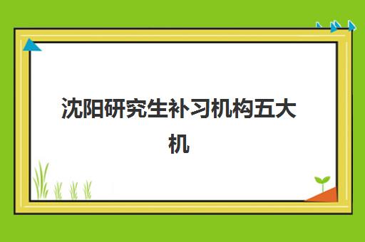 沈阳研究生补习机构五大机构用户反馈如何分析？2025年真实口碑数据、评价解读与择校指南