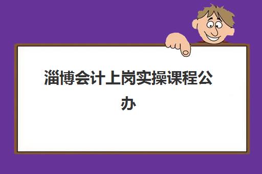 淄博会计上岗实操课程公办vs民办服务对比？2025年权威区别解析、择校指南与成功选择策略
