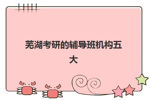 芜湖考研的辅导班机构五大公办机构运营分析，如何评估优劣与选择全指南
