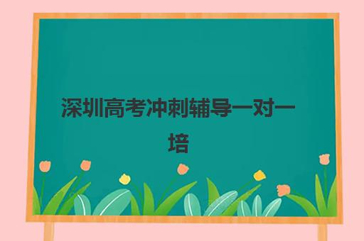 深圳高考冲刺辅导一对一培训机构哪个好费用多少？2025年最新权威排名、费用明细与择校全攻略