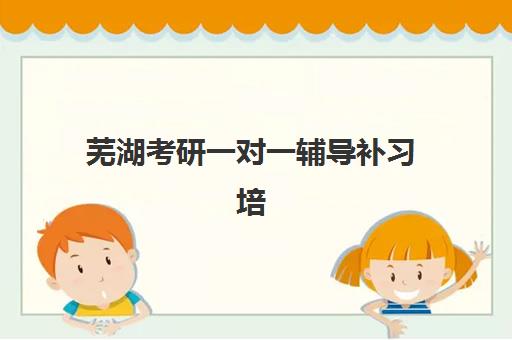 芜湖考研一对一辅导补习培训机构有哪些地方好？2025年最新Top5机构实力对比与择校全攻略
