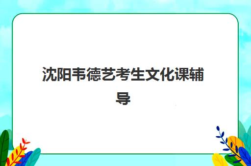沈阳韦德艺考生文化课辅导补习机构收费标准如何查询？2025年收费详情全面解析与择校性价比评估指南